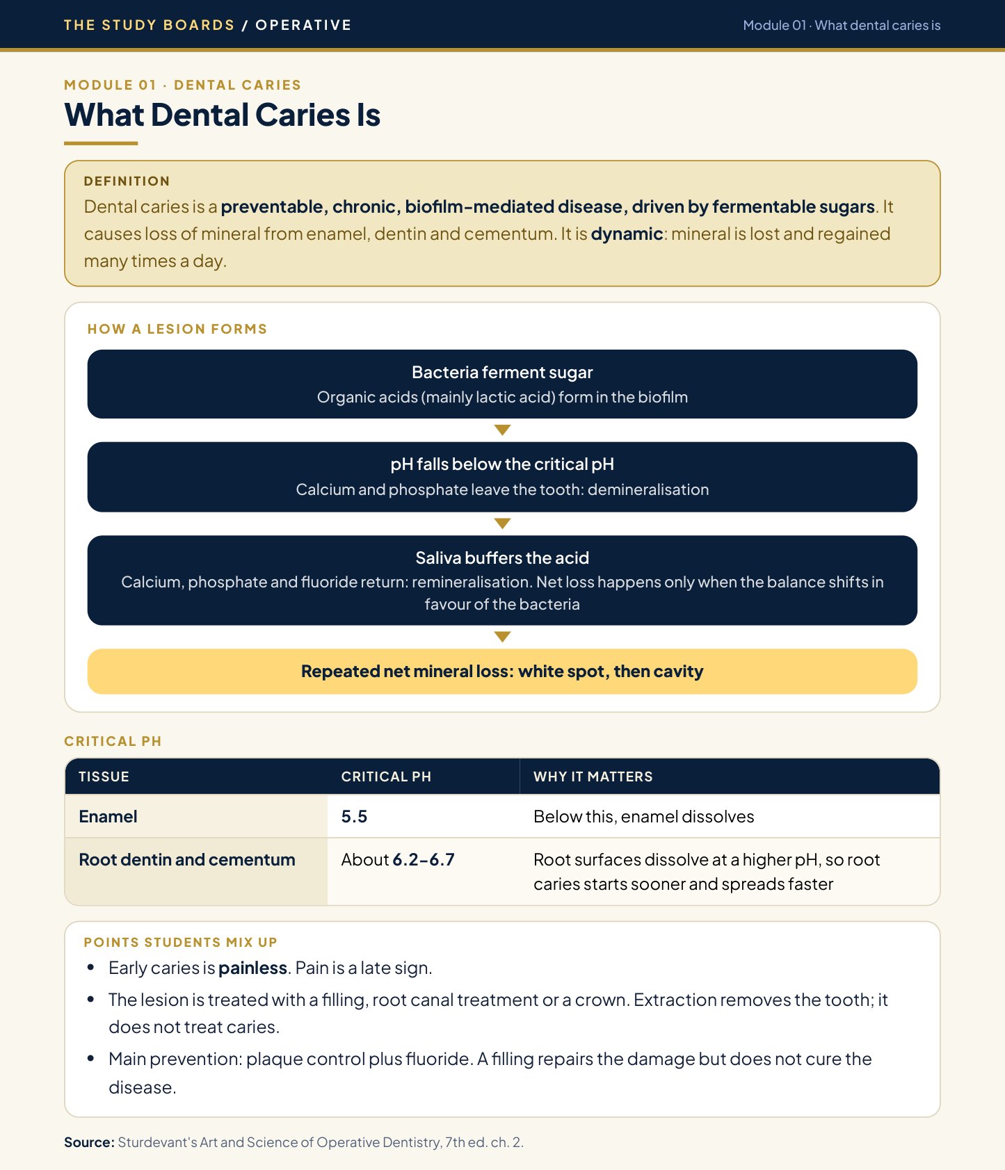 Study Boards Module page showing how a caries lesion forms, step by step