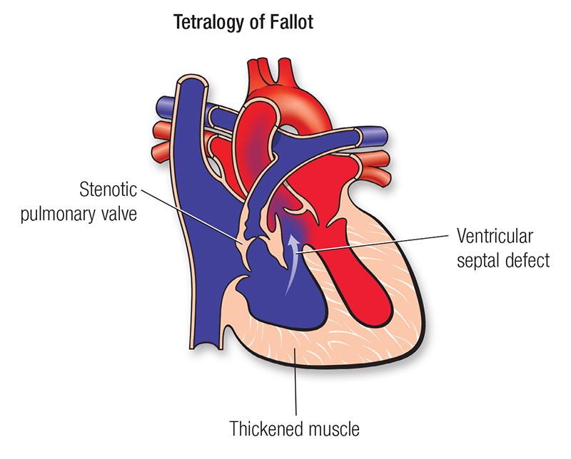 Figure for question